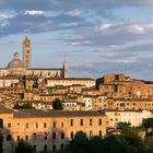 Siena Panorama mit Cattedrale di Santa Maria Assunta 