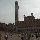 Siena Pferdebahn