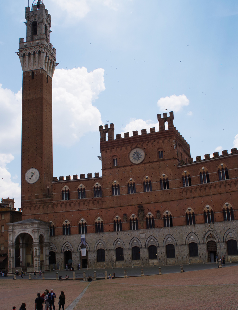 SIENA   PIAZZA  DEL CAMPO