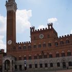 SIENA   PIAZZA  DEL CAMPO