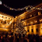 Siena, Piazza Salimbemi - 2015