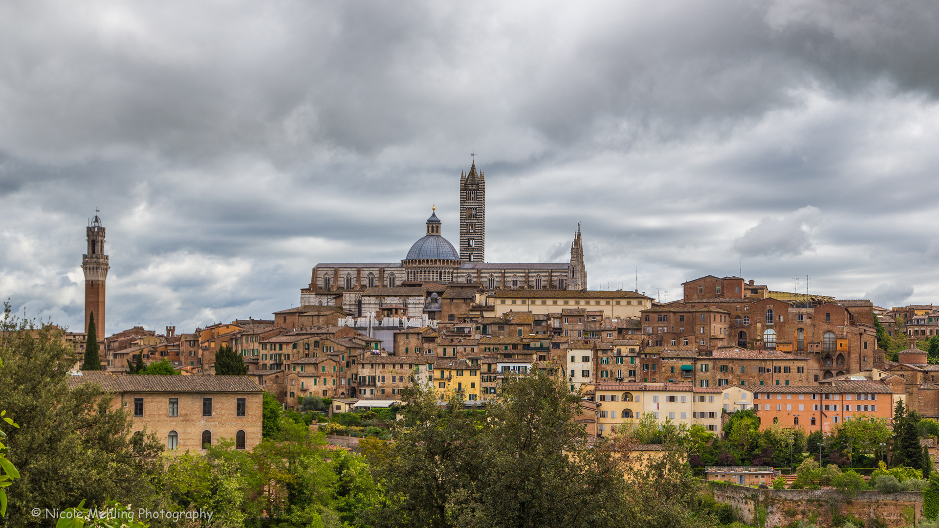 Siena Skyline