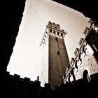 Siena - Torre del Mangia