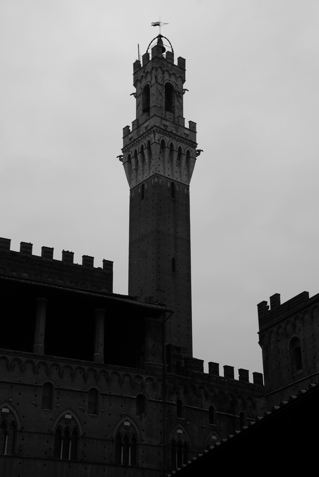 Siena - Torre del Mangia e Loggia