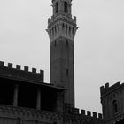 Siena - Torre del Mangia e Loggia