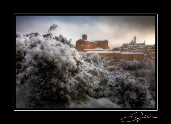 Siena - Tuscany 2009