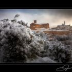 Siena - Tuscany 2009