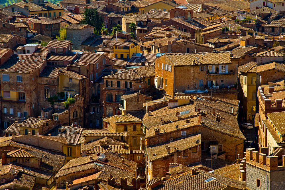 Siena - über der Stadt