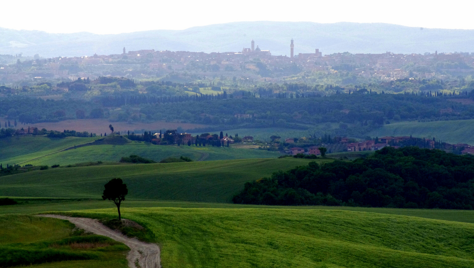 Siena vista dalle Crete