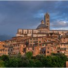 Siena zur goldenen Stunde