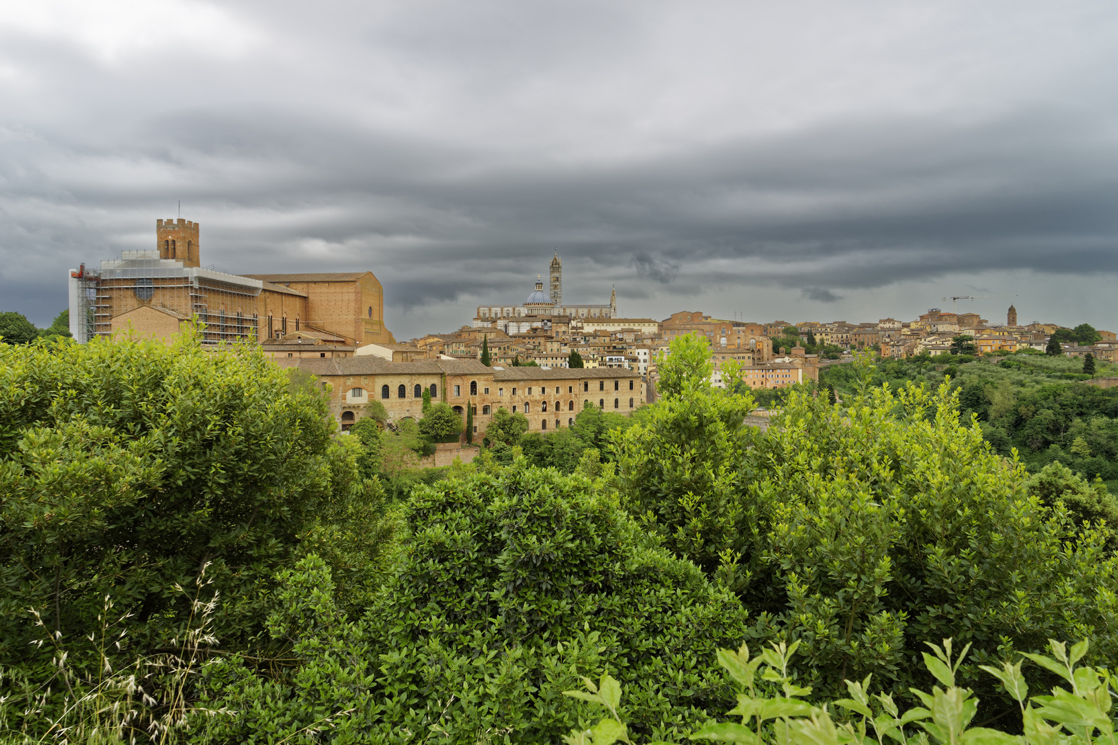 Siena_0648_WKP