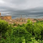 Siena_0648_WKP