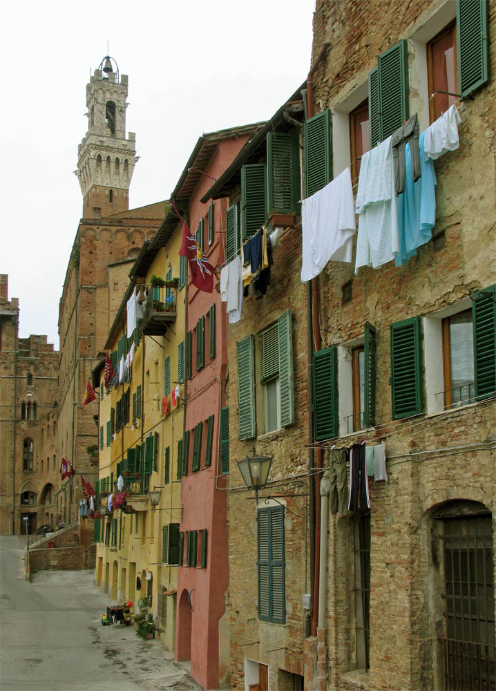 siena5