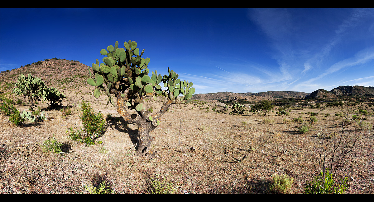 Siere Madre Occidental