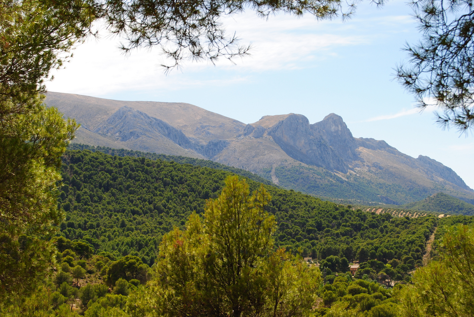 SIERRA ARANA (GRANADA)