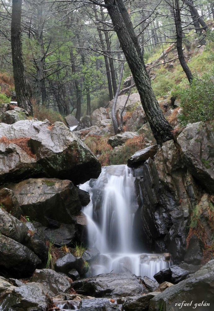 Sierra Bermeja, Estepona