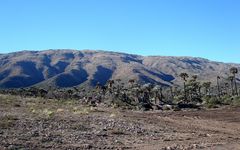 Sierra de Comechingones