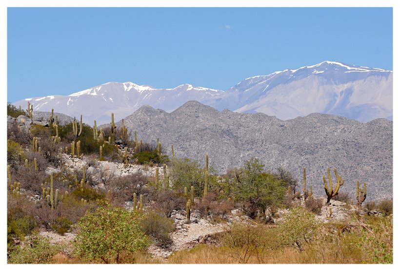 Sierra de Famatina