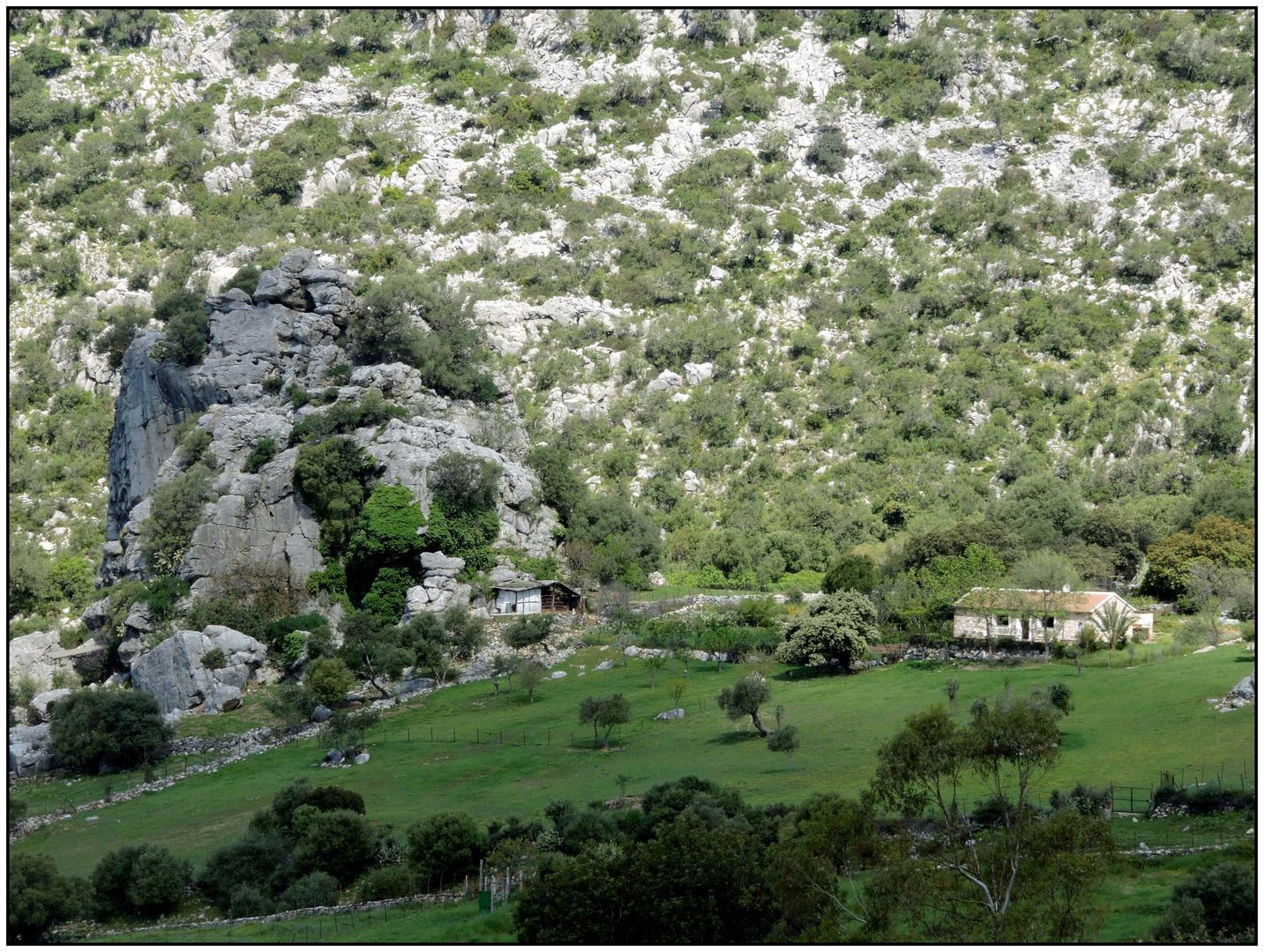 Sierra de Grazalema