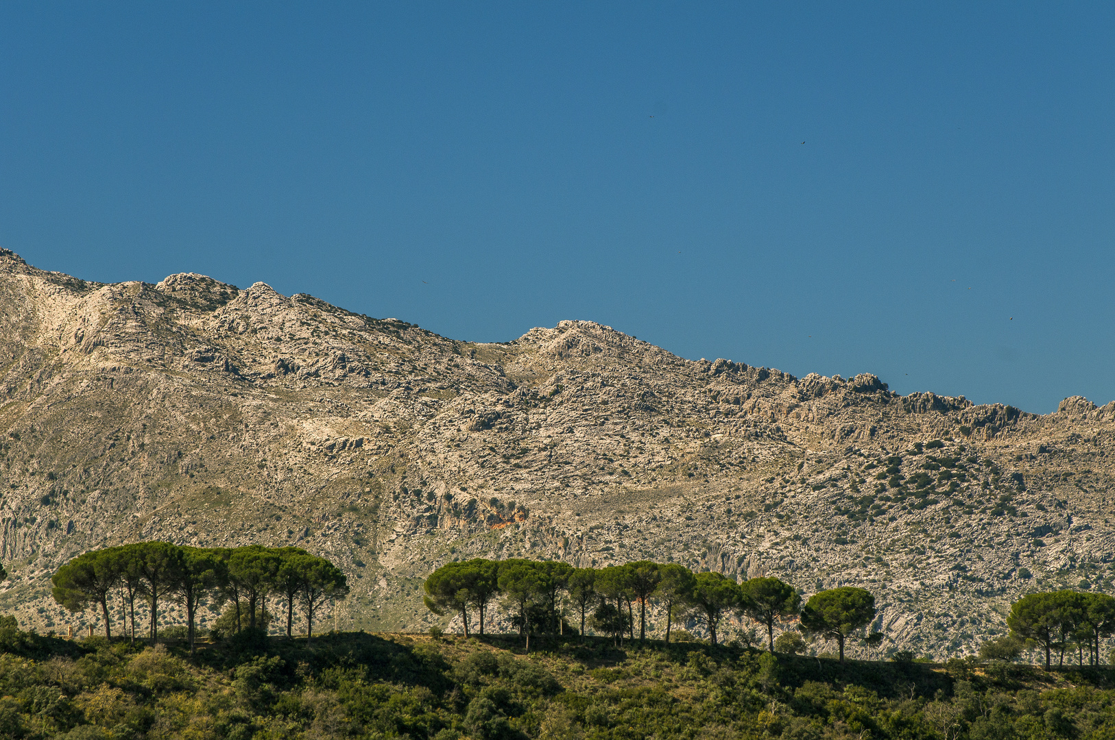 Sierra de Grazalema