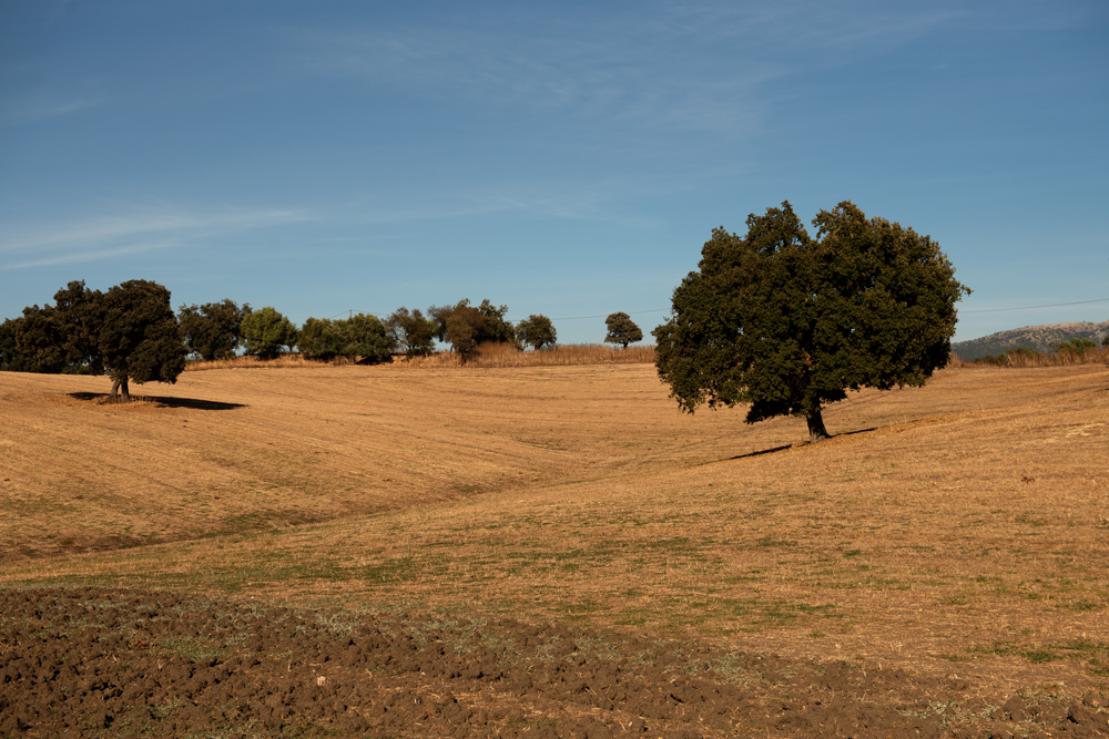 Sierra de Grazalema