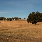 Sierra de Grazalema