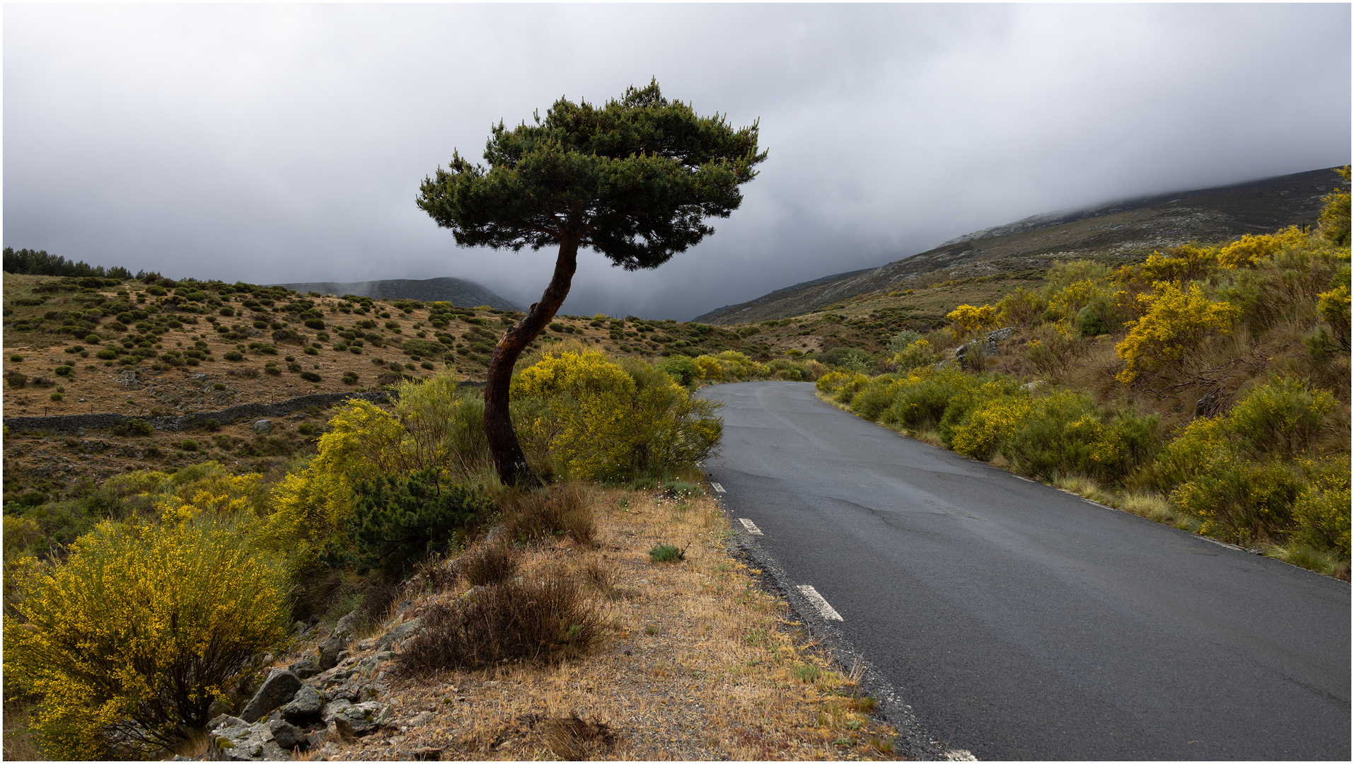 Sierra de Gredos NP