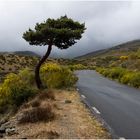 Sierra de Gredos NP