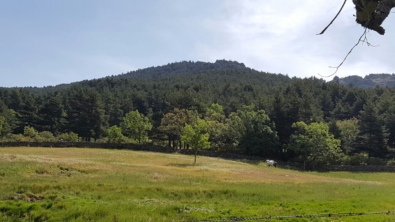 Sierra de Guadarrama