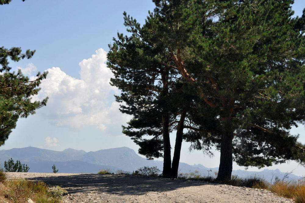 Sierra de Guadarrama (Madrid)