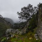 Sierra de Huelva