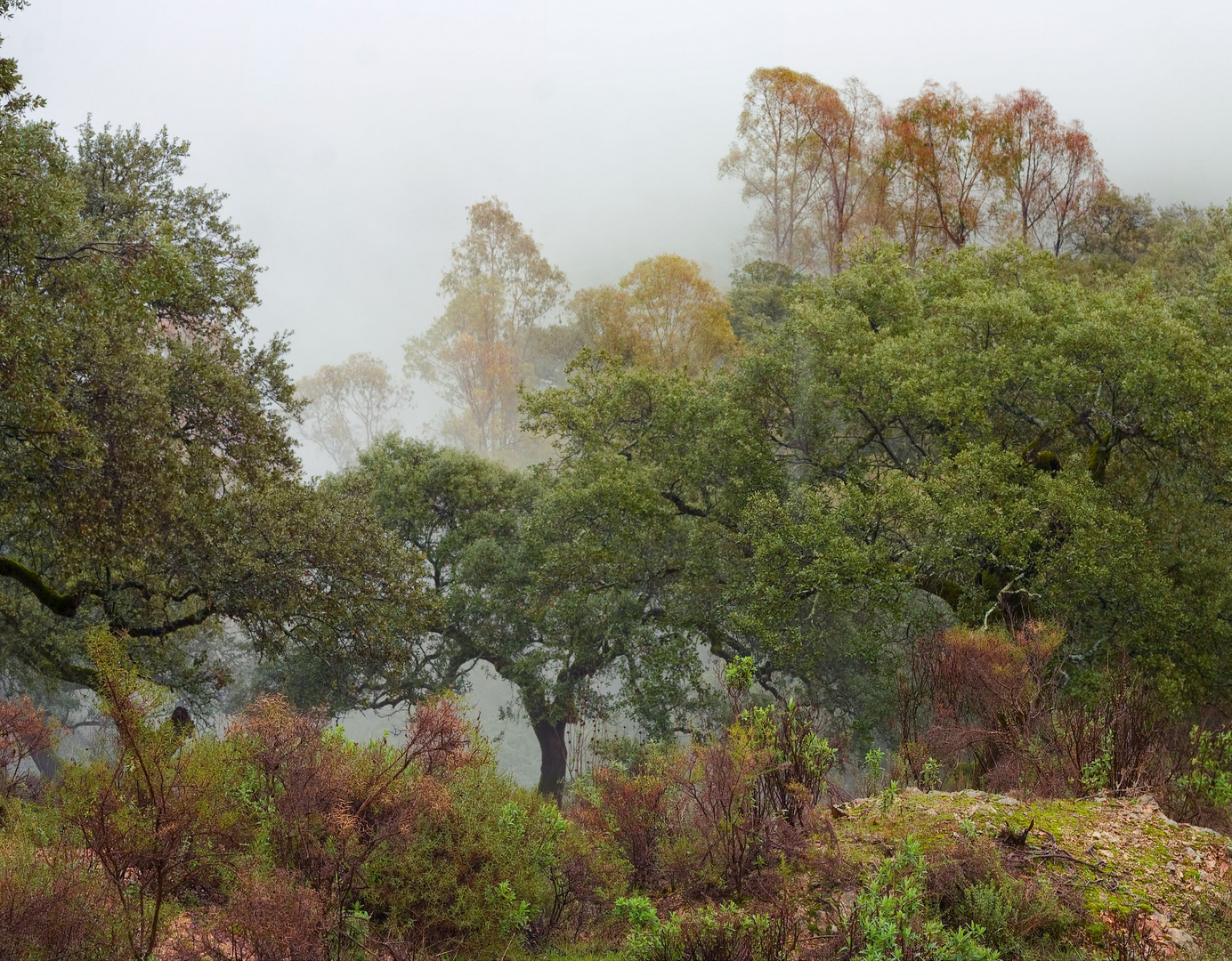 Sierra de Huelva