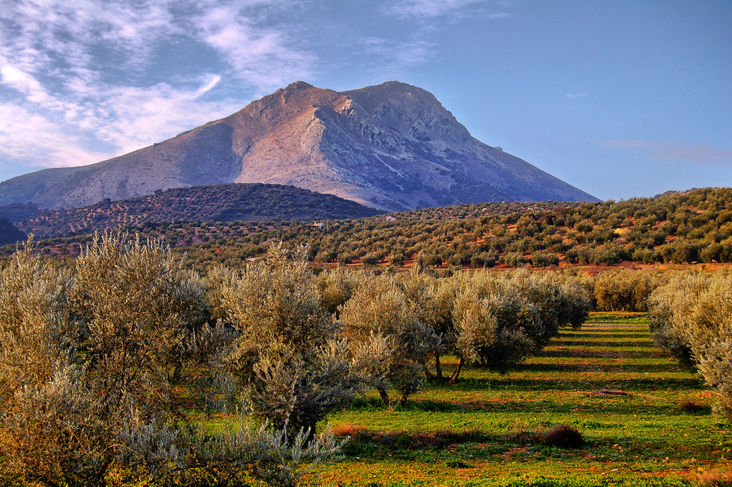 SIERRA DE LA HORCONERA