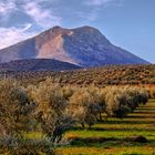 SIERRA DE LA HORCONERA