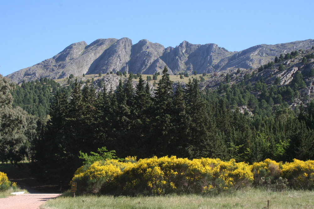 Sierra de la Ventana