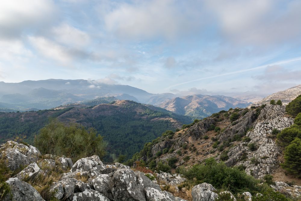 Sierra de las Nieves