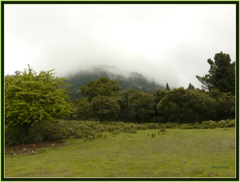 Sierra de las Nieves 3