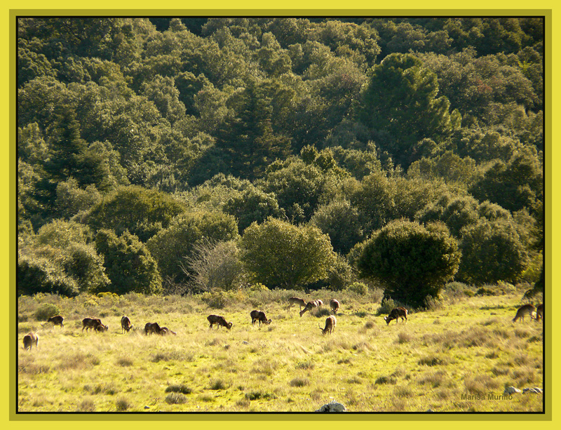 Sierra de las Nieves 5