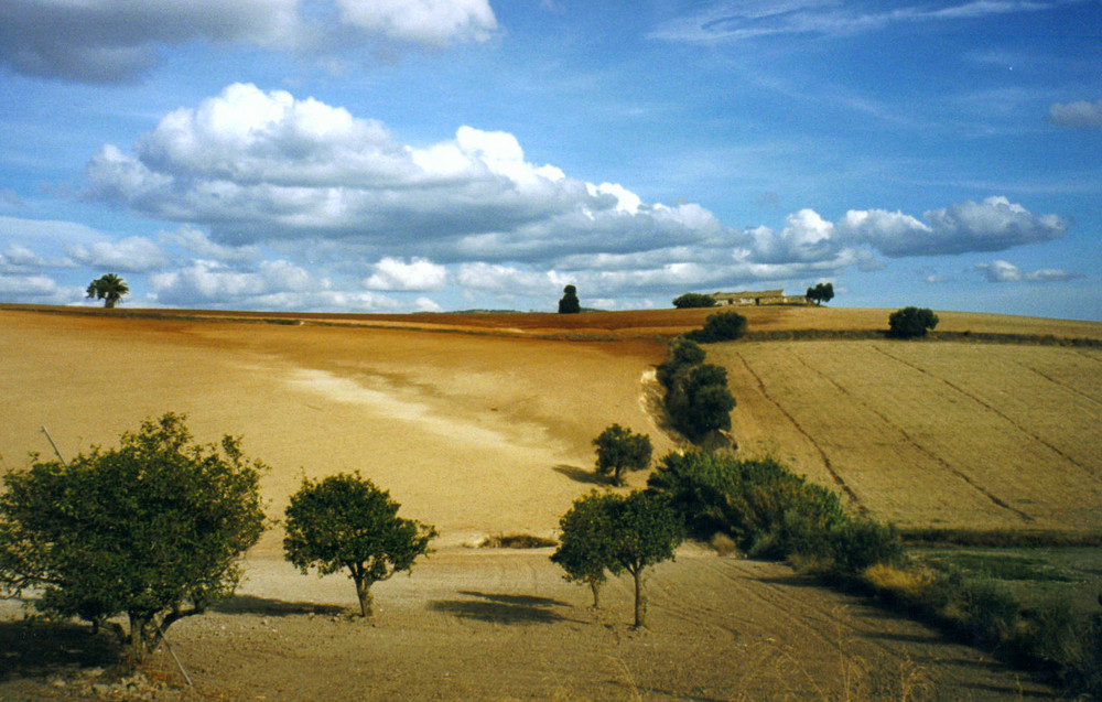 Sierra de las Nieves