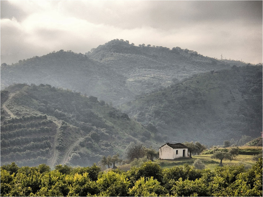 Sierra de las Nieves