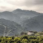 Sierra de las Nieves