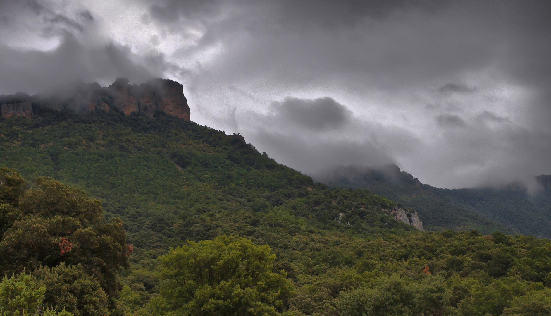 SIERRA DE LEYRE