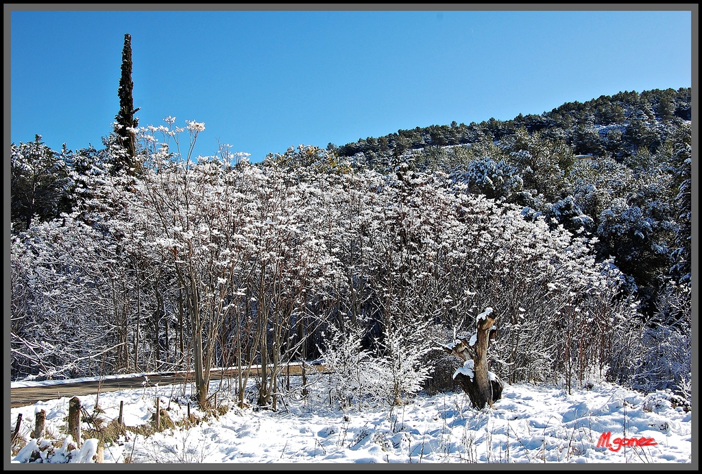 Sierra de mariola nevada