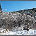 Sierra de mariola nevada