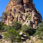 Sierra de organos (Mexico)