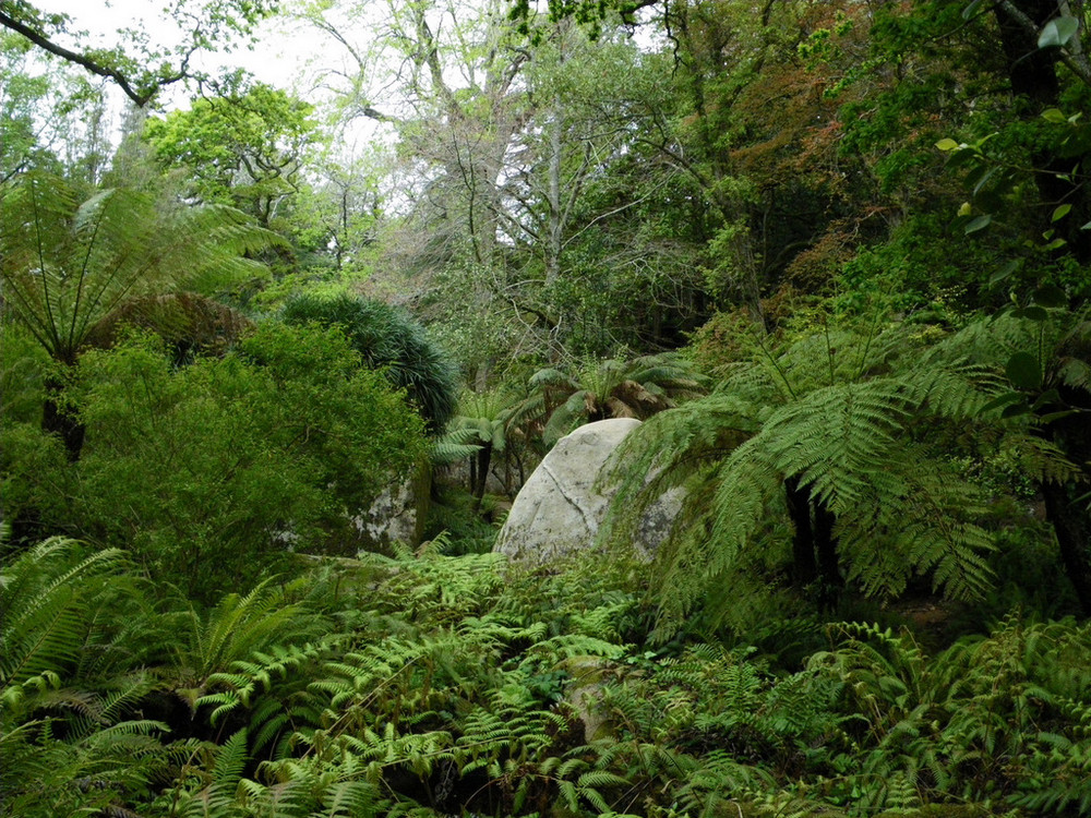 Sierra de Sintra, Portugal