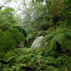 Sierra de Sintra, Portugal