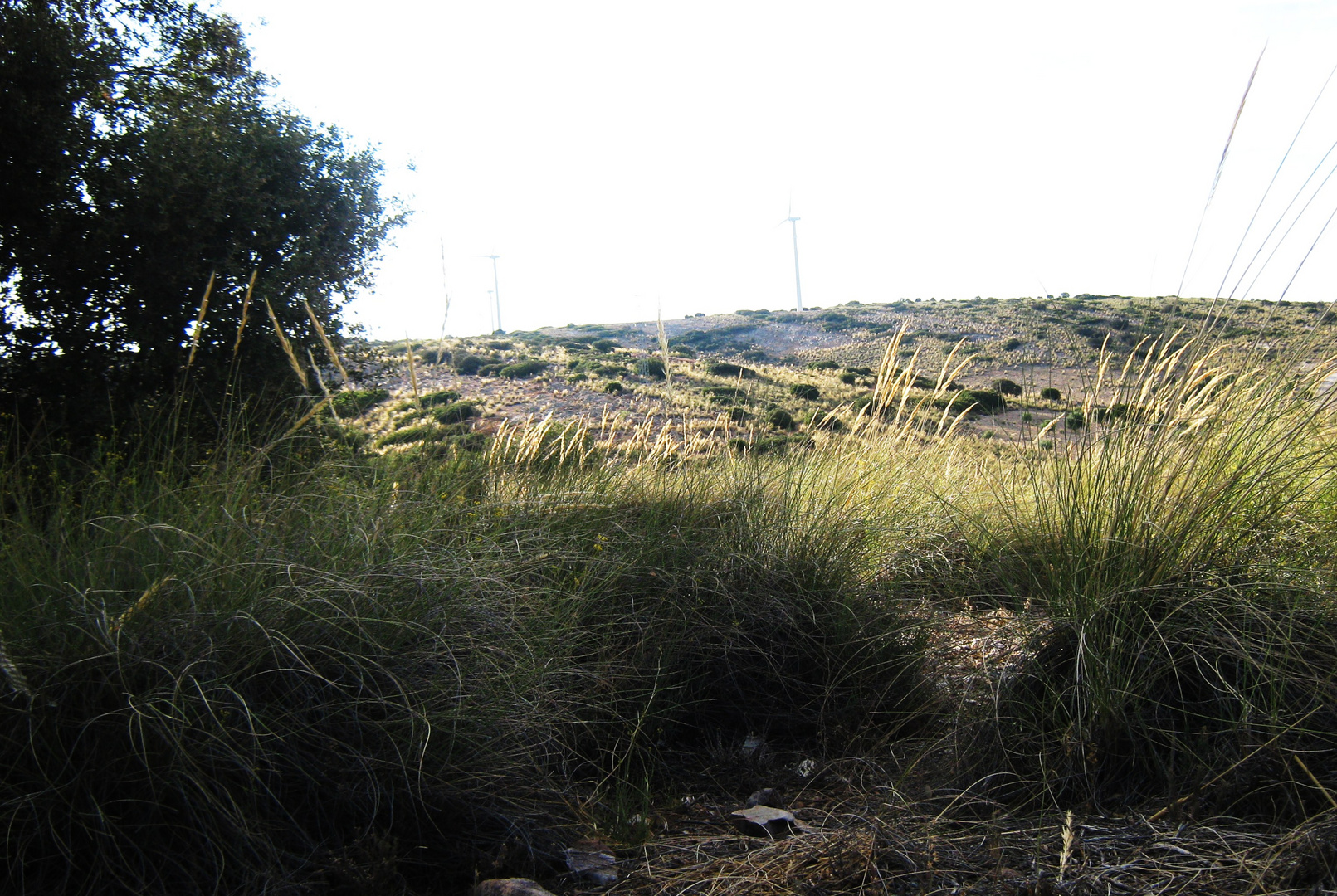 Sierra de Toledo