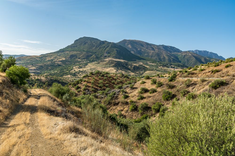 Sierra de Ubrique 