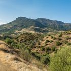 Sierra de Ubrique 